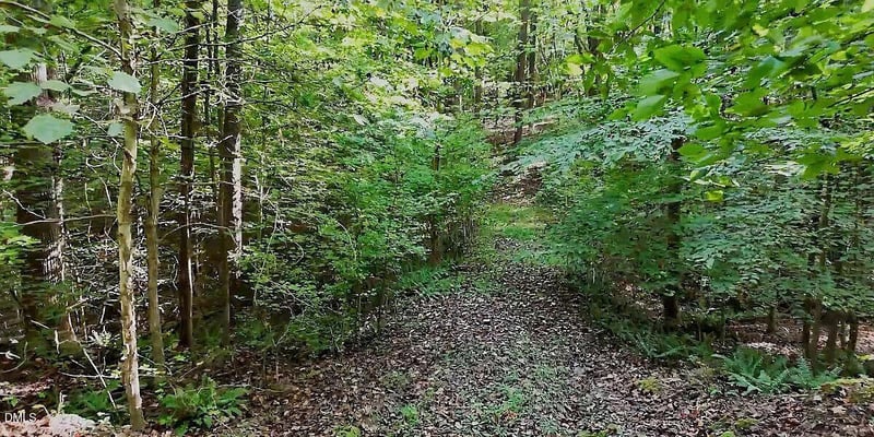 11705 Strickland Rd Lot 5, Raleigh, NC 27613
