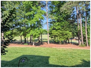 1173 Crabtree Crossing Pw, Morrisville, NC 27560