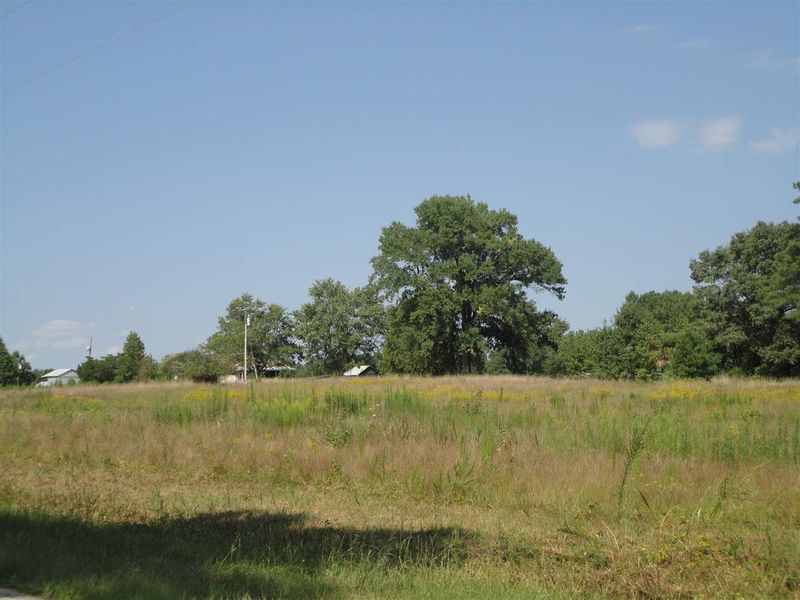1176 Laurel Mill Rd Lot 2, Louisburg, NC 27549