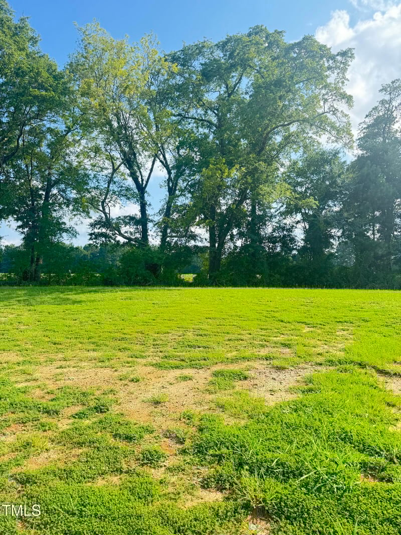 118 Hopewell Branch Ct, Smithfield, NC 27577