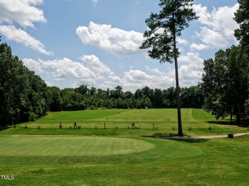 118 Rustler Rd, Louisburg, NC 27549