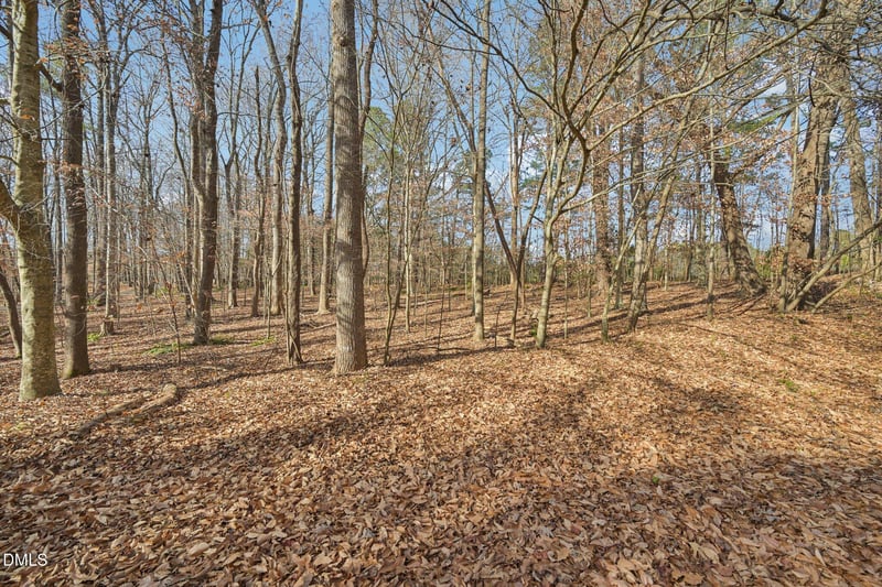 118 Winsome Ln, Chapel Hill, NC 27516