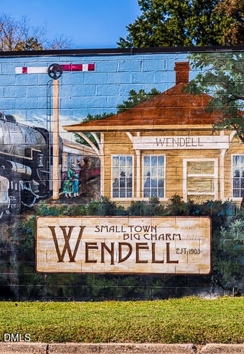 1185 Condor Junction Rd, Wendell, NC 27591