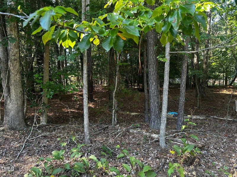 119 Mayan Dr, Louisburg, NC 27549