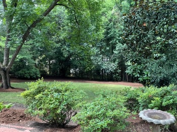 119 Montgomery St, Raleigh, NC 27607
