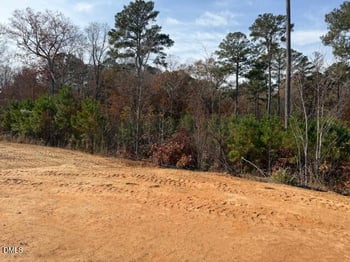 119 Neuse Hollow Ct, Clayton, NC 27527