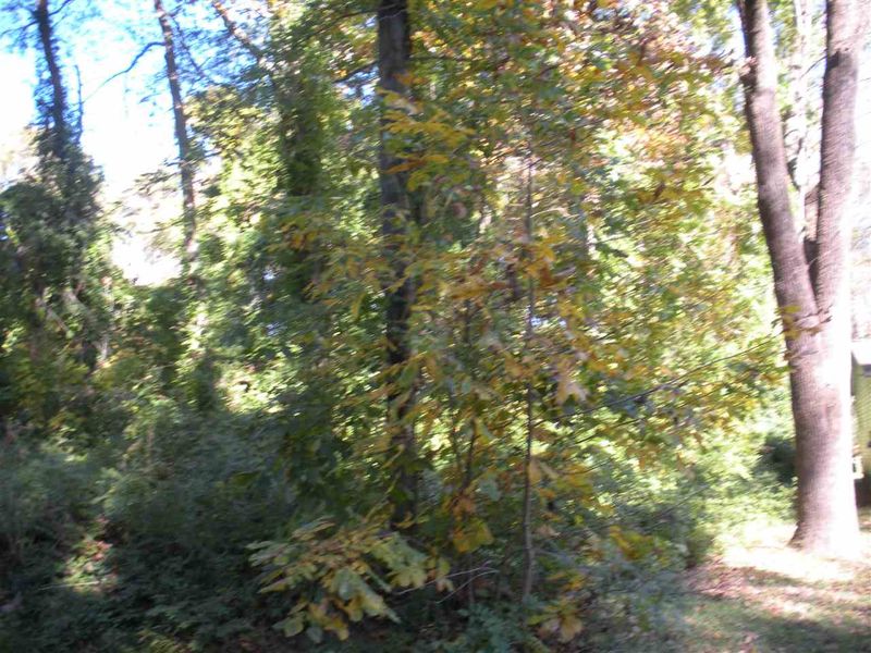 119 Parquet St Lot 22, Durham, NC 27707
