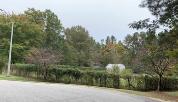 119 Stella Ct Lot 12, 13, 14, Morrisville, NC 27560