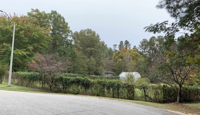 119 Stella Ct Lot 12, 13, 14, Morrisville, NC 27560