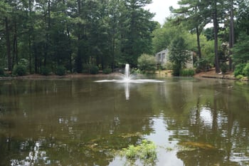 119 Taylors Pond Dr, Cary, NC 27513