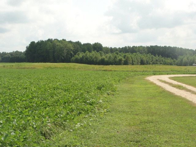 1190 Bluegrass Rd Lot 3, Selma, NC 27576