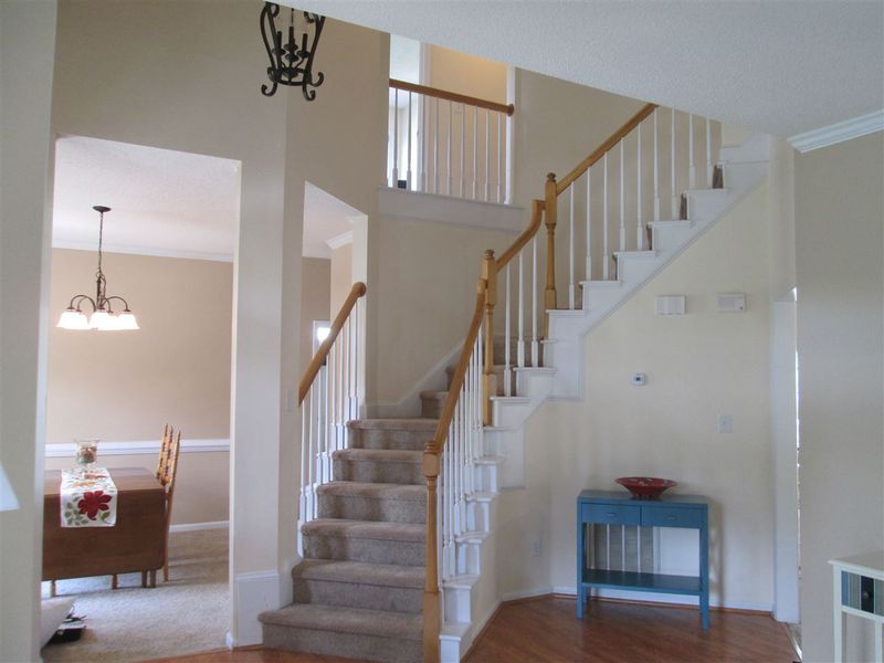 11932 Radner Way, Raleigh, NC 27613