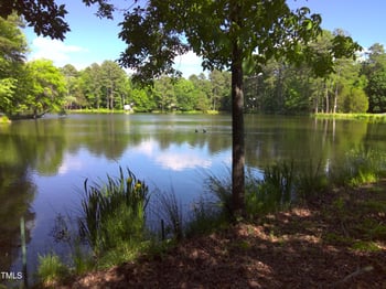 12 Crail Ct, Durham, NC 27712