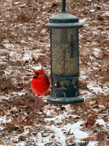 12 Drakesway Ct, Durham, NC 27713