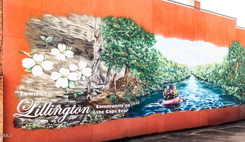 12 Sea Palm Ct, Lillington, NC 27546