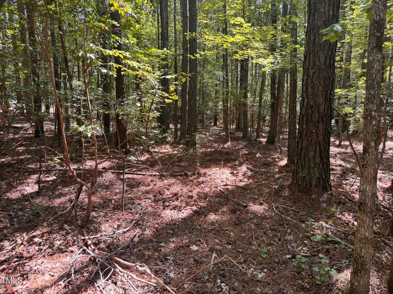 120 Anfield Rd Lot 7, New Hill, NC 27562