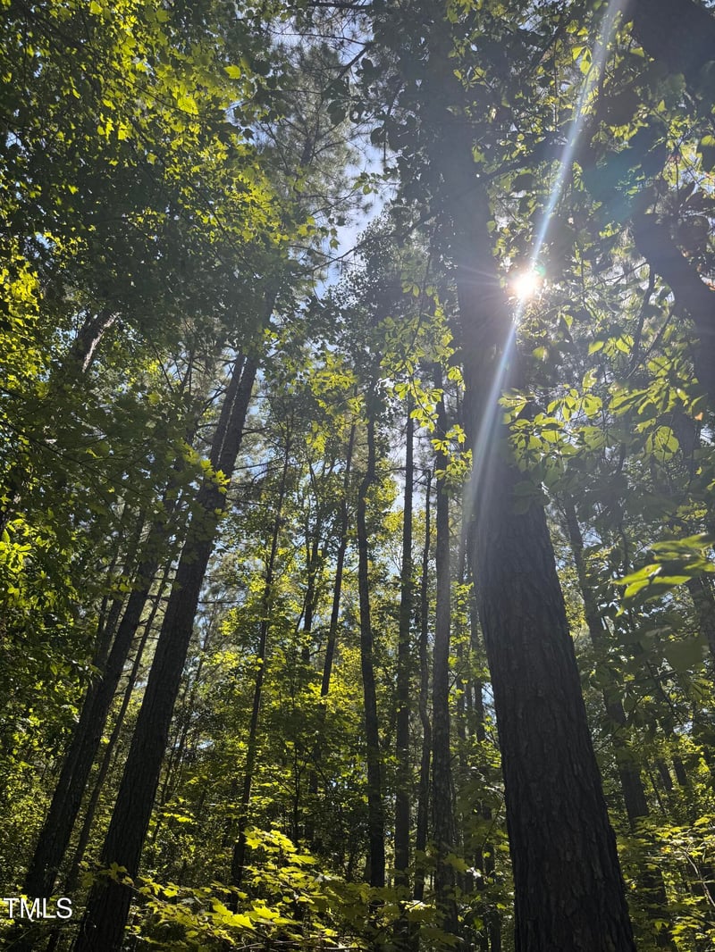 120 Anfield Rd, New Hill, NC 27562