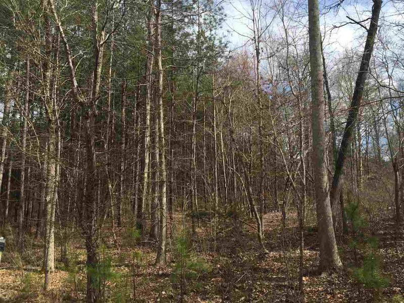 120 Berry Patch Ln Lot 728, Pittsboro, NC 27312