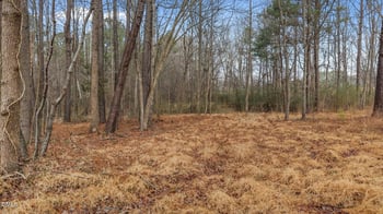 120 Corinth Dr Lot 39, Louisburg, NC 27549
