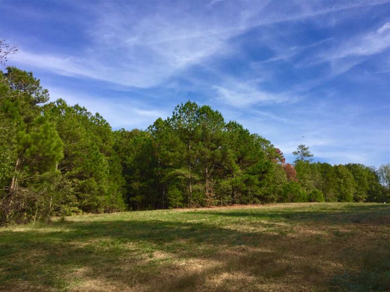 120 Ever After Ln Lot 2, Apex, NC 27523