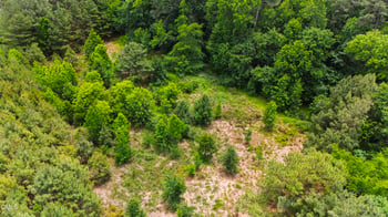 120 Rosemont Ln Lot B, Chapel Hill, NC 27516