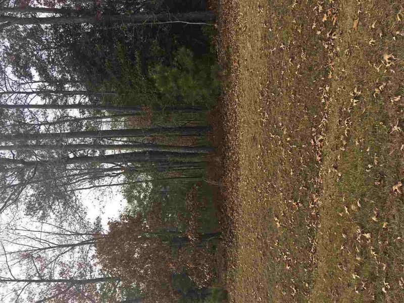 120 Silverside Dr Lot 47, Angier, NC 27501