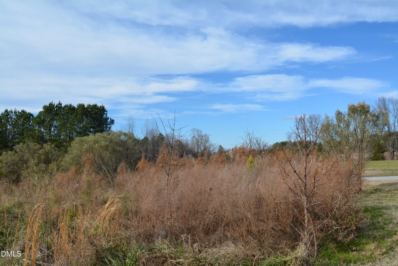 1200 Granite Falls Blvd Lot TR2, Rolesville, NC 27587