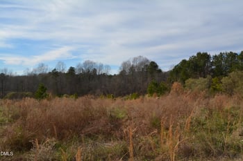 1200 Granite Falls Blvd Lot TR2, Rolesville, NC 27587