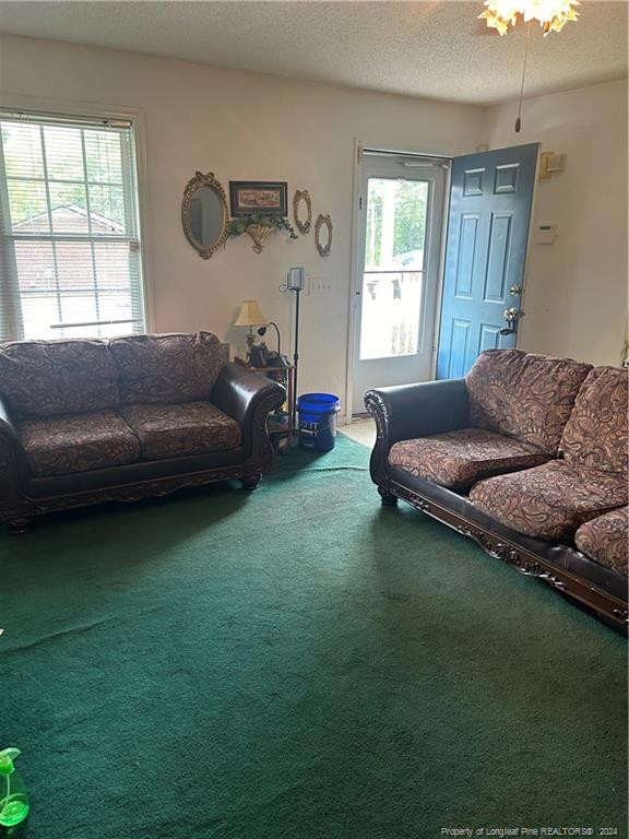 1201 Bland Cir, Sanford, NC 27330