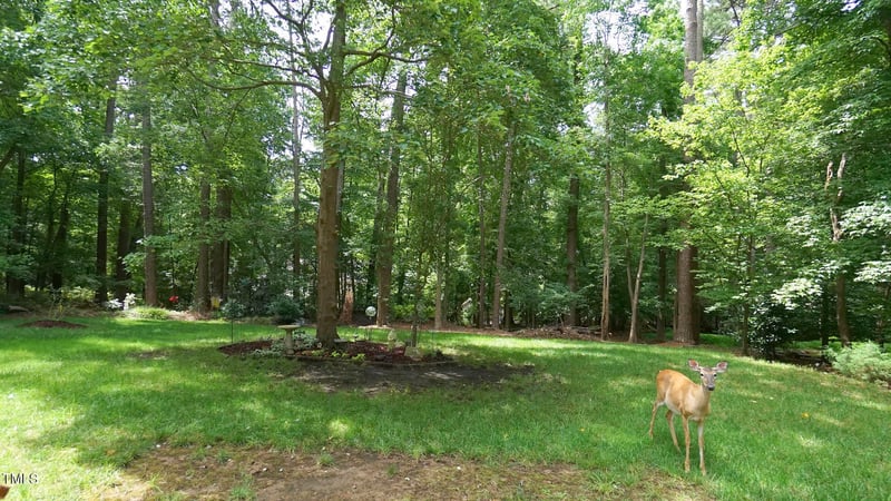 12037 Deer Rn, Raleigh, NC 27614