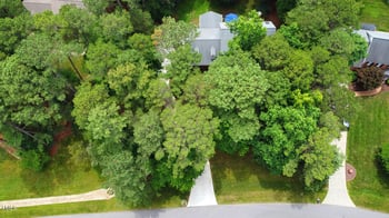 12037 Deer Rn, Raleigh, NC 27614