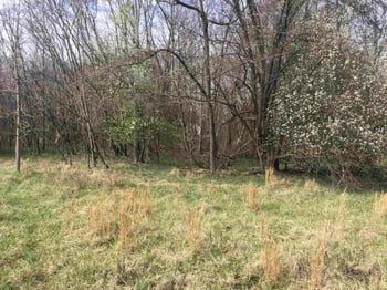 1206 Fifth St, Mebane, NC 27302