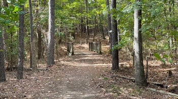 1208 Catch Fly Ln, Durham, NC 27713