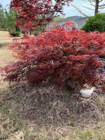 1208 Farm Leaf Dr, Durham, NC 27703