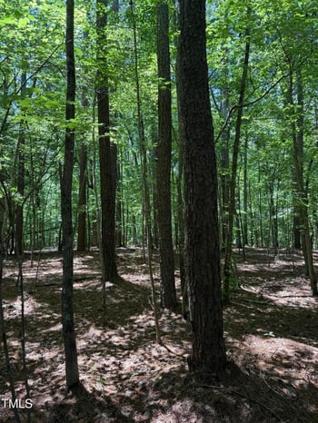 1209 Batchelor Rd, Apex, NC 27523