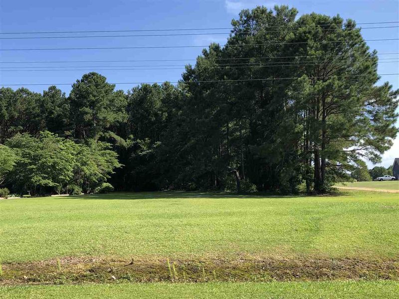 1211 State Rd, Benson, NC 27504