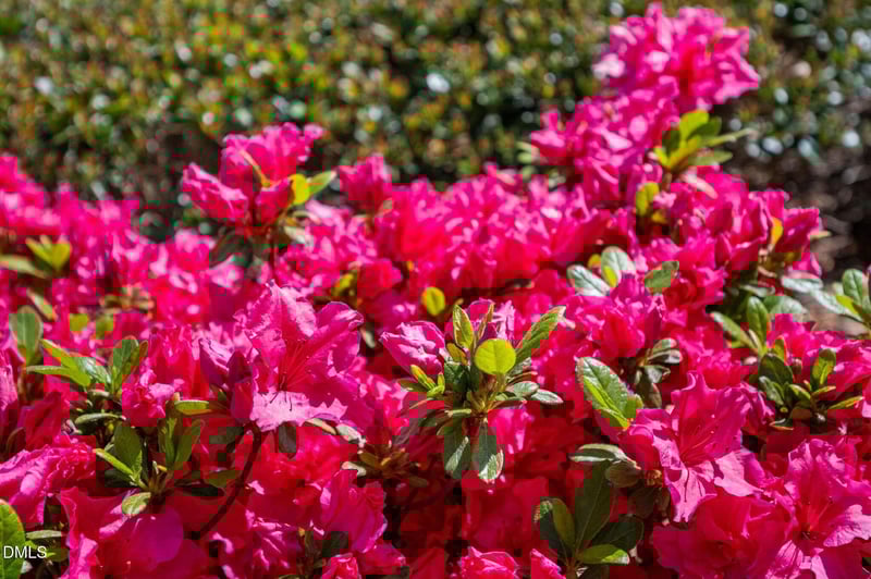 1212 Lincoln Mill Dr, Durham, NC 27703