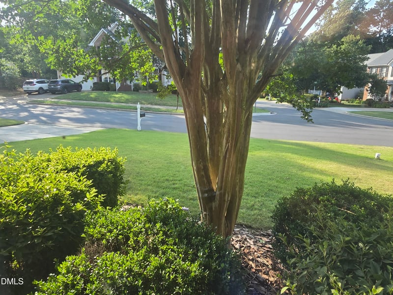 1219 Waterford Green Dr, Apex, NC 27502