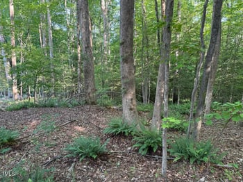 122 Diego Dr, Louisburg, NC 27549