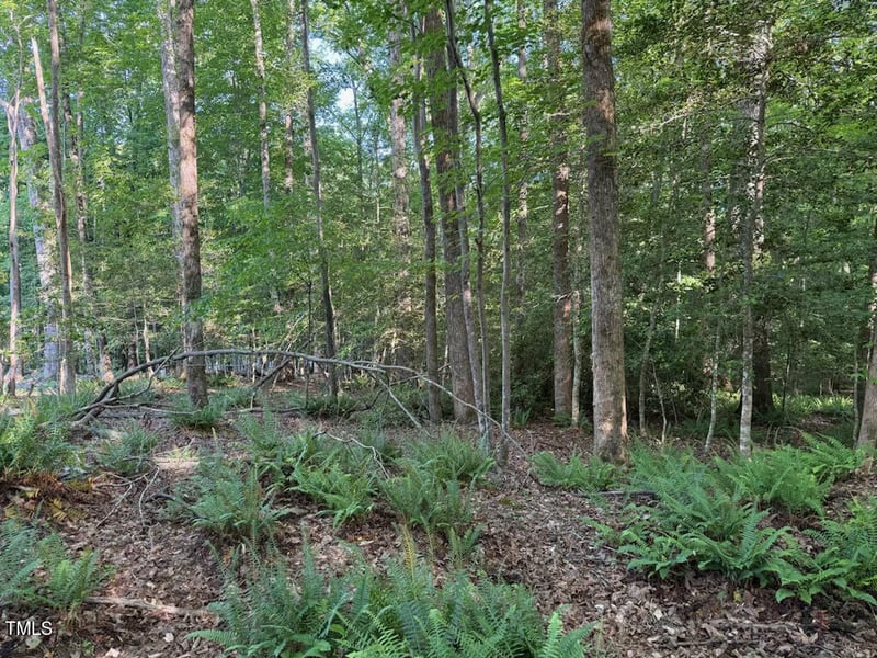 122 Diego Dr, Louisburg, NC 27549