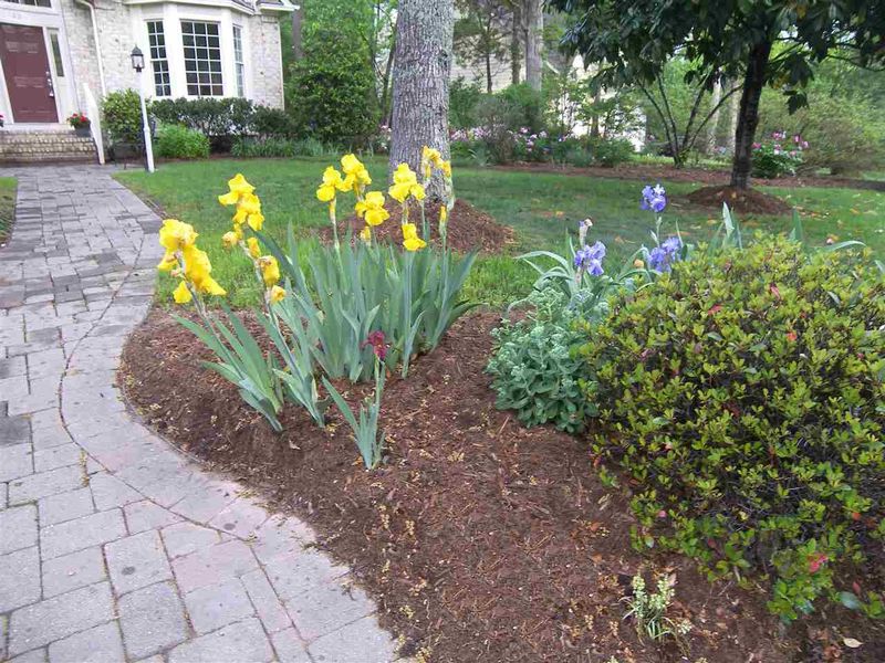122 Spring Valley Ln, Durham, NC 27713