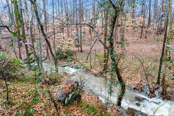 122 Taylor St, Chapel Hill, NC 27514