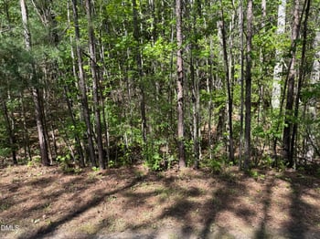 122 Timberline Dr, Pittsboro, NC 27312