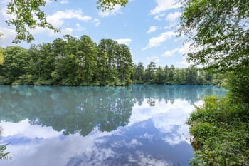 1223 Orchard Oriole Ln, Durham, NC 27713