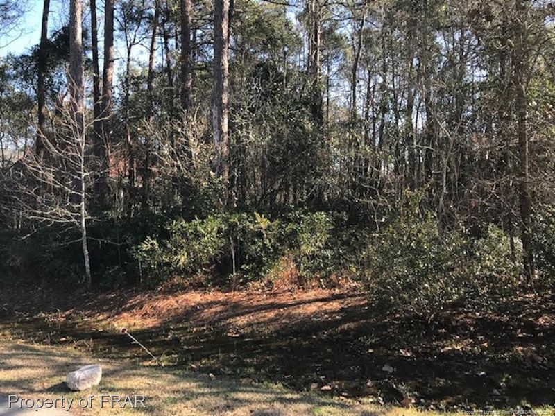 123 Grayson Pl, Sanford, NC 27332
