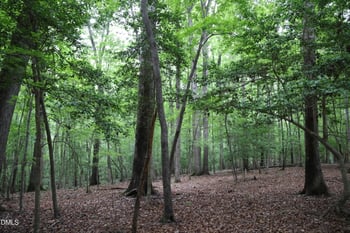 1232 Rivermead Ln, Wake Forest, NC 27587