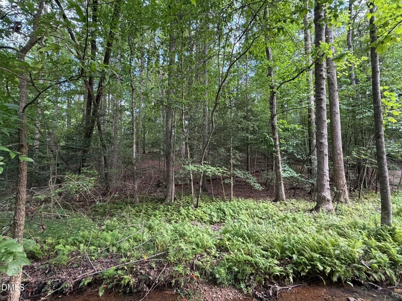 124 Navajo Dr Lot 221, Louisburg, NC 27549