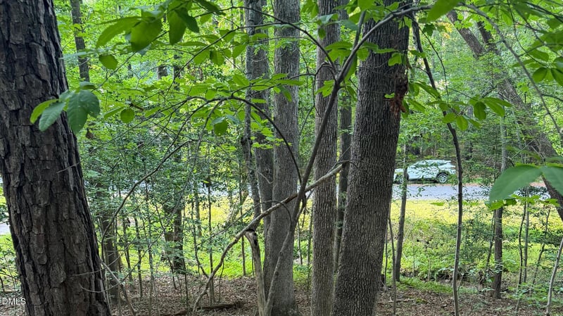124 Navajo Dr Lot 221, Louisburg, NC 27549
