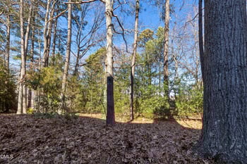 124 Rosewall Ln, Cary, NC 27511