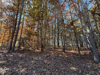 124 Shawnee Dr, Louisburg, NC 27549